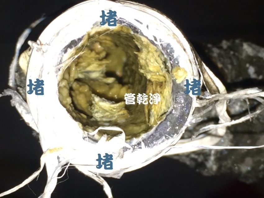 清洗水管, 水管清洗, 洗水管, 熱水忽冷忽熱, 水管清潔