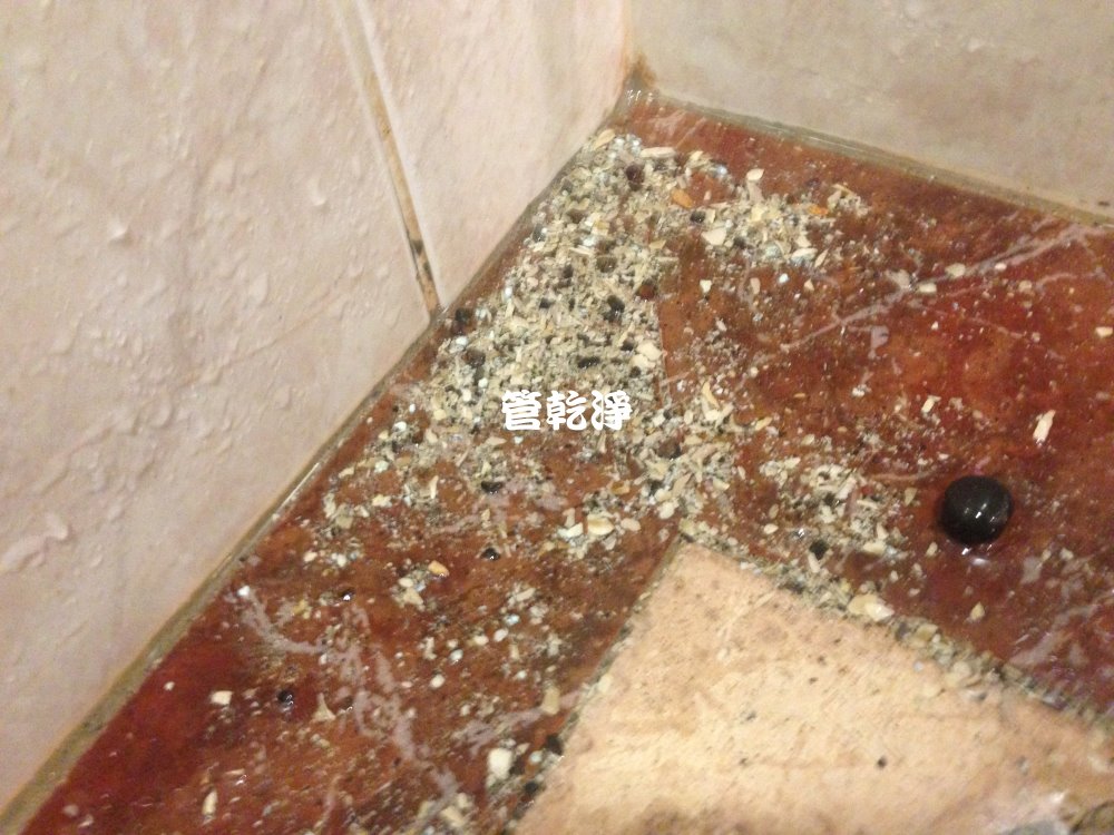 清洗水管